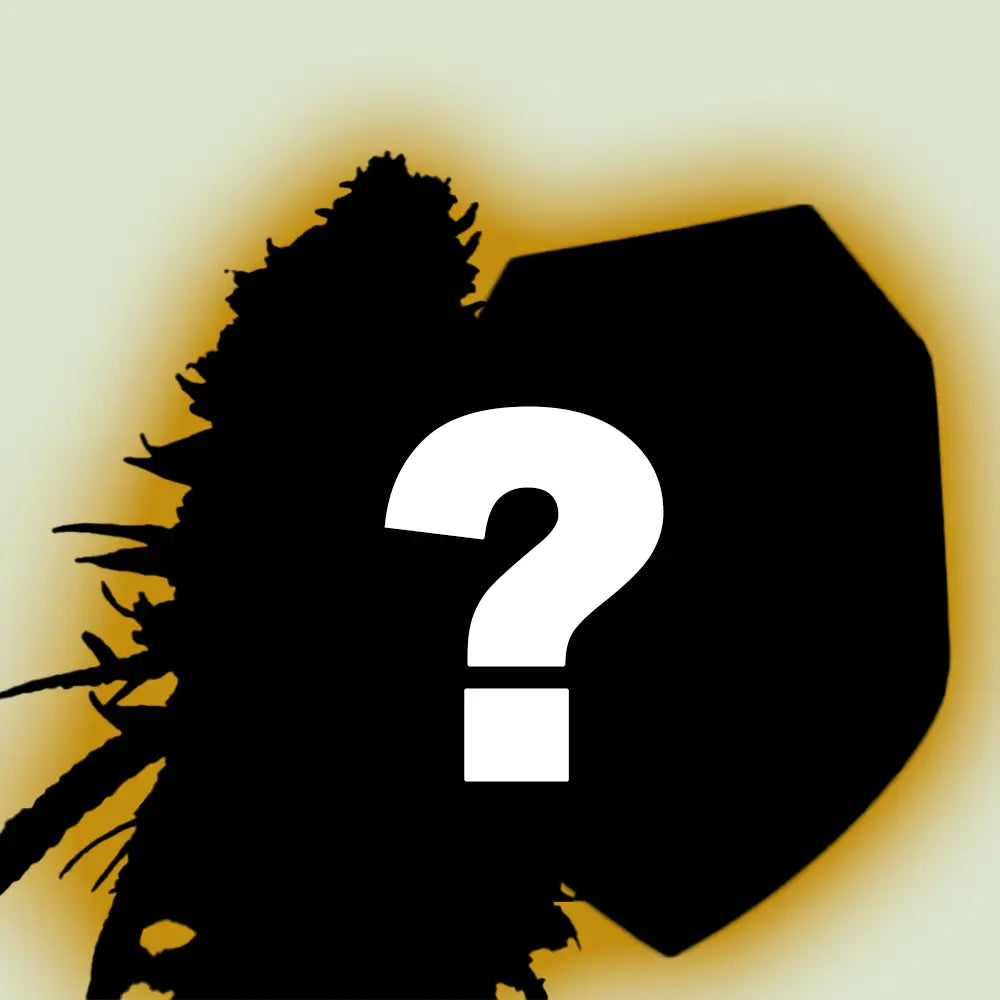 Royal Queen Seeds I 5-Pack Mystery Bundle
